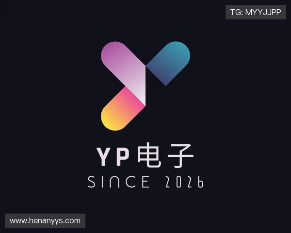 了解YP电子